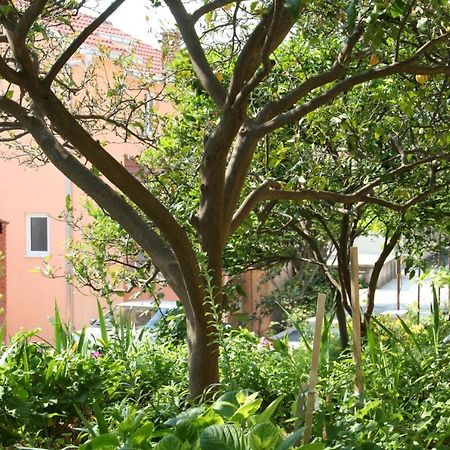 Apartment Podgora 518B Εξωτερικό φωτογραφία